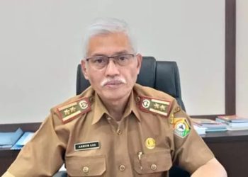 Sekda Asrun Lio Minta Seluruh Kepala Daerah Sultra Mutakhirkan Data Informasi Ketenagalistrikan