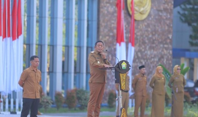 Wagub Sultra Pimpin Apel Gabungan ASN Sultra, Tekankan Kebersamaan Membangunan Daerah